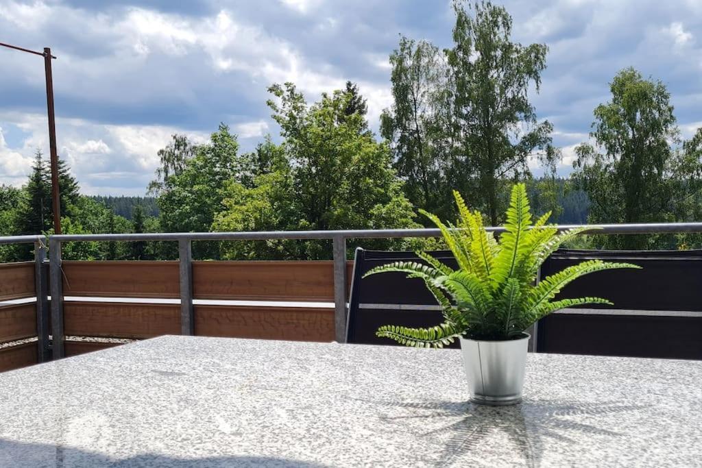 Pool, Sauna & Schwarzwald-Idylle Leilighet Unterkirnach Eksteriør bilde
